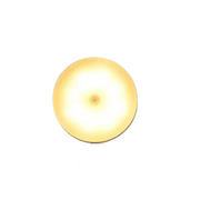 Juno™ I Draadloze Lamp met Bewegingssensor